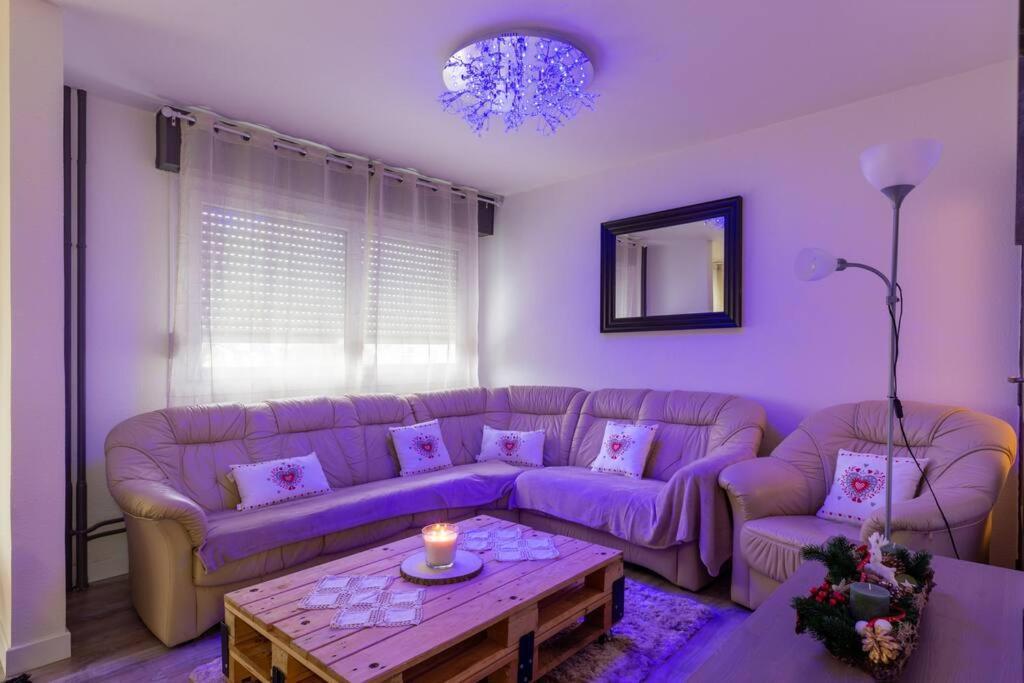 Superbe Appartement Spacieux Avec Parking Gratuit Illzach Kültér fotó